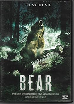 DVD Bear Book