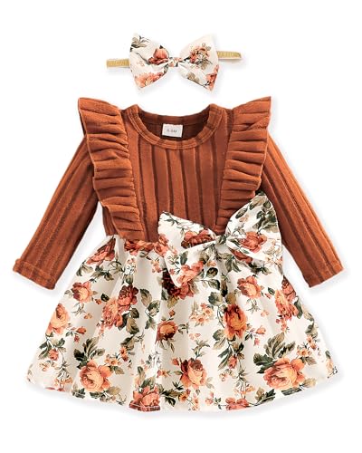 Baby Long Sleeve Fall Dress Baby Girl Clothes Ruffle Toddler Casual Dress Infant Cute Clothes Winter Outfits