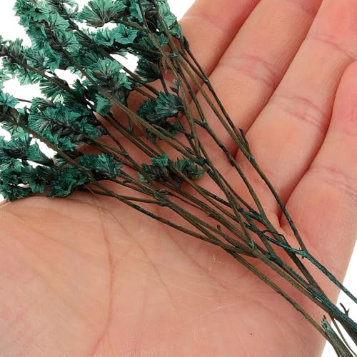 Flores prensadas naturales OSALADI para manualidades miniatura 5