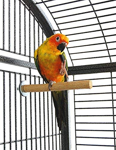 Sage Square 10 Inches / 25 cm Natural Habitat Wooden Perch/Stand/Toy for Birds (Light Weight) (1 Pcs)
