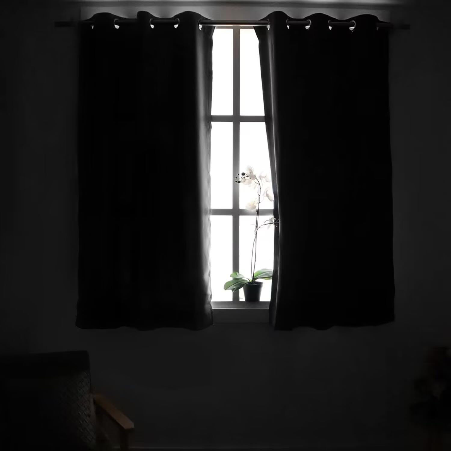 View 2