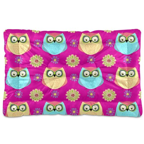 Coikll Colorful Owls Pet Bed Pad Soft Dog Bed Mat with Anti-Slip Bottom, Machine Washable Crate Pad Mattress for Dog Sleeping- 24 * 18inches