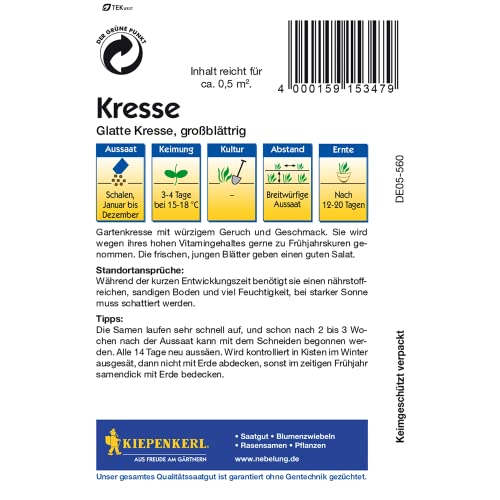 Kiepenkerl Kresse - glatte, großblättrig - Image 3