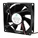 Ruilogod 80 x 25mm 12V DC Ball Bearing PC Case CPU Cooler Wentylator