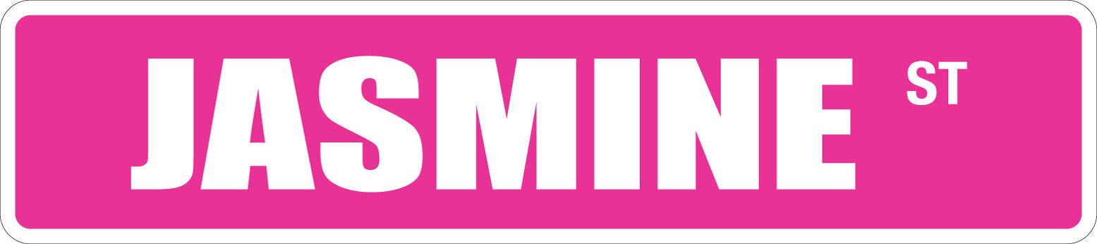 metal sign Jasmine 4" x 16" Metal Novelty Street Sign