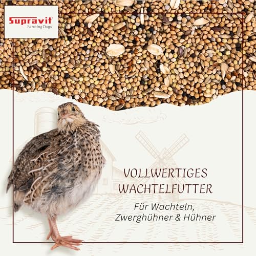 Supravit Wachtelfutter 25kg | Vollwertige Körnermischung für Wachteln, Legewachteln und Hühner als Alleinfutter | Wachtel Futter mit Hirse Glanz Perillasaat Raps Haferflocken Hafer und Leinsamen