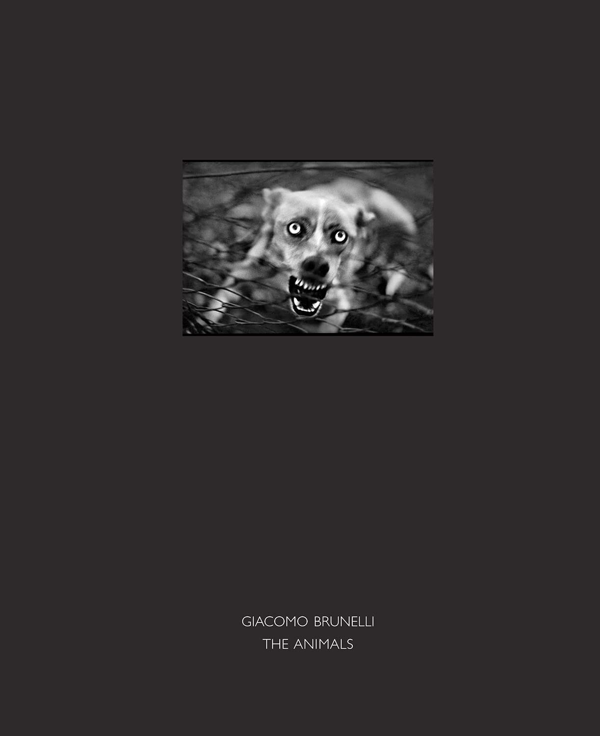 The Animals by Giacomo Brunelli - 9781911306085