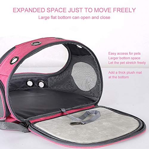 Mochila para animais de estimação, bolsa transparente para gatos, suprimentos para transporte de ani