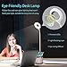 Desk Lamp Kids with Small Night Light LED USB Rechargeable Student Table Lamp Dimmable Eye-caring Cute Study Computer Lamp for Office Dorm, Touch control, Flexible Gooseneck, Phone & Pen Holder (Grey)
