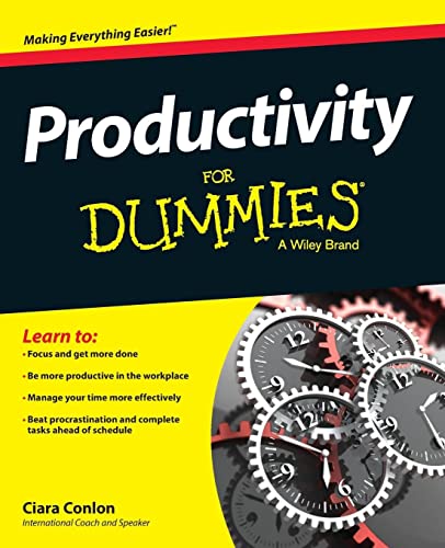 Productivity for Dummies view 2