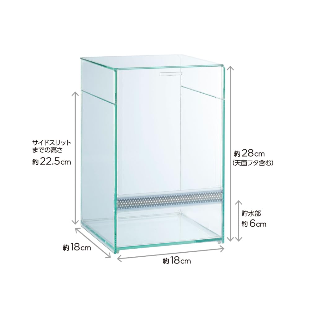 Amazon | レプテリア クリアネオフィット 180 小型爬虫類 両生類 昆虫