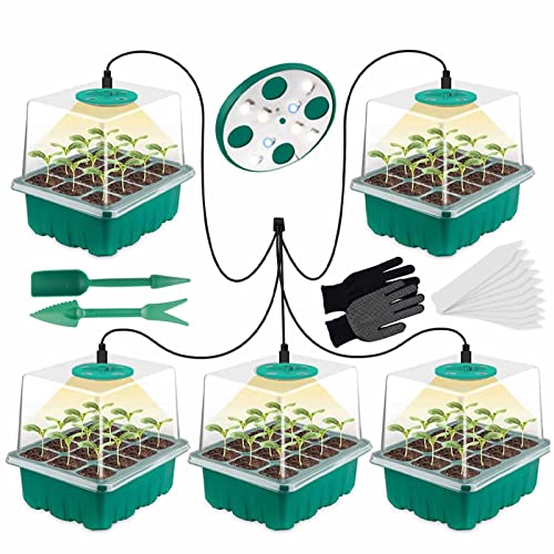 5 Pièces Mini Serre pour Plantes, Mini Serre pour Semis Apporter Lampe de Croissance 5 Pièces 60 Cellules, Serre Intérieure Pépinière Boîte Propagateur Jardin