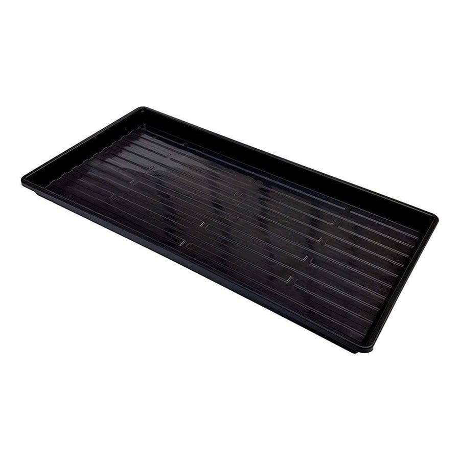 Plateau de germination rigide Park Seed sans trous pour cultiver herbes et microgreens facilement