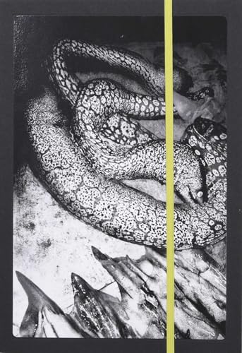Amazon.co.jp: Anders Petersen: 本、バイオグラフィー、最新アップデート
