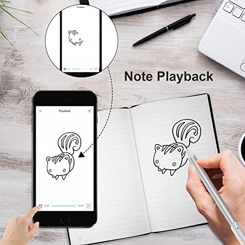 NEWYES Smartpen Sync to The Mobile Devices for Notes with APP (Syncpen 1.0),Grey