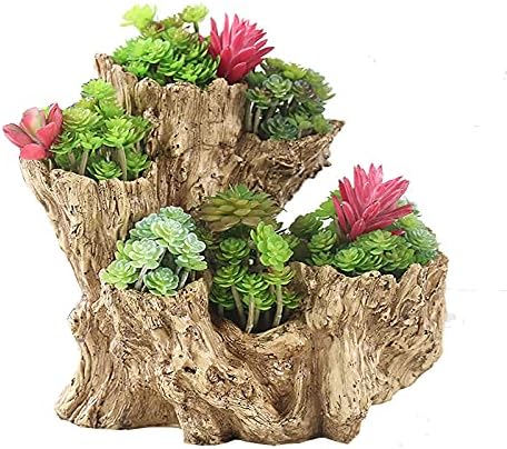 WLICWEI Stump Wood Succulent Planter,Porous Driftwood Log Plant Pots,Vintage Garden Flower Pots Cactus Planter Bonsai Pots for Home Office Outdoor Decor-Wood 27.5x16x24.5cm(11x6x10inch)