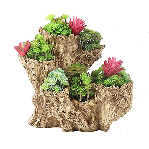Wlicwei Stump Wood Succulent Planter,Porous Driftwood Log Plant Pots,Vintage Garden Flower Pots Cactus Planter Bonsai Pots For Home Office Outdoor Decor-Wood 27.5X16X24.5Cm(11X6X10Inch) #TOP1