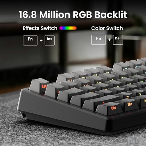 Image of Kisnt KN85 Wireless Mechanical Keyboard, 75% Layout with Side Printed PBT Keycaps, Bluetooth /2.4GHz /USB-C, Custom RGB Backlit, Hot-Swappable Linear Switch,Creamy Sound for Gaming /Typing(Gradient Gray)