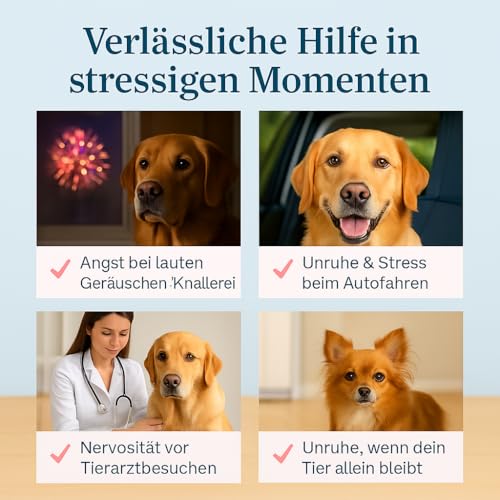 naturacbd Hanföl für Hunde & Katzen 1500mg – Bio Hanföltropfen für & Katzen 1500mg – Beruhigungsmittel für & Entspannung bei Angst oder Stress