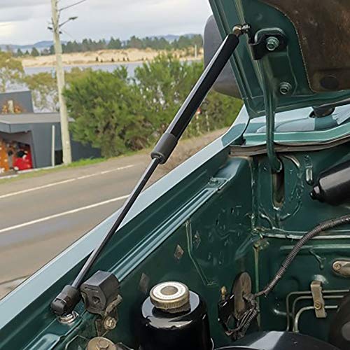 Qwertfeet Supporto per Cofano Motore Anteriore