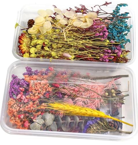 Image of VRB DecTM 2 Box Natural Real Dried Flowers for Art Craft /rasin Art kit - Mixed & Multicolor for Soap, Artificial Candles,Scrapbook, DIY, Resin Tray Jewellery, Pendant (2 Box - Multicolor)