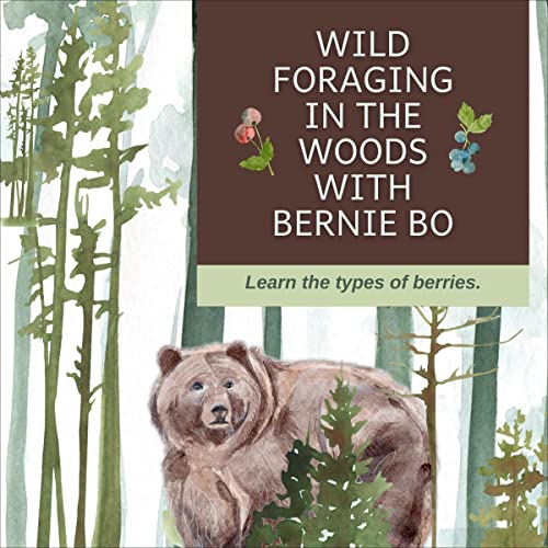 Wild Foraging in the Woods with Bernie Bo by Jane Little episode artwork