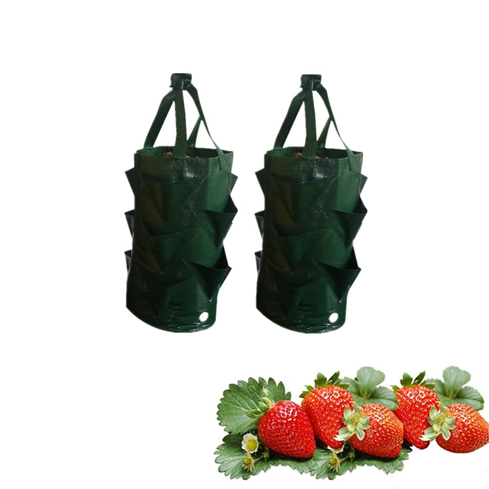 Sacs De Plantation Pour Fraises Feliciay - Lot De 2 Sacs Avec 8 Trous - Respirants Et Durables