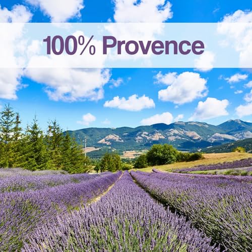 Flores de lavanda secas de Provenza OLILLY saco de 500 gramos 4
