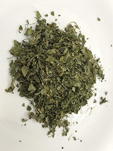 FRESH and Dried Organic FENUGREEK Methi leaves and HERBS Premium Quality - Trigonella Foenum-graecum (2)