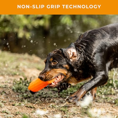 Cordon de lancement orange petit dummy pour chien joueur - 5