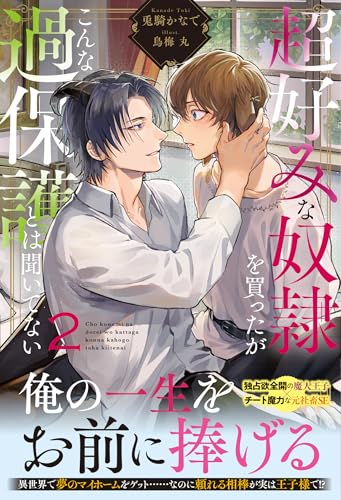 超好みな奴隷を買ったがこんな過保護とは聞いてない (2) (アンダルシュノベルズ) 超好みな奴隷を買ったがこんな過保護とは聞いてない (2) (アンダルシュノベルズ)