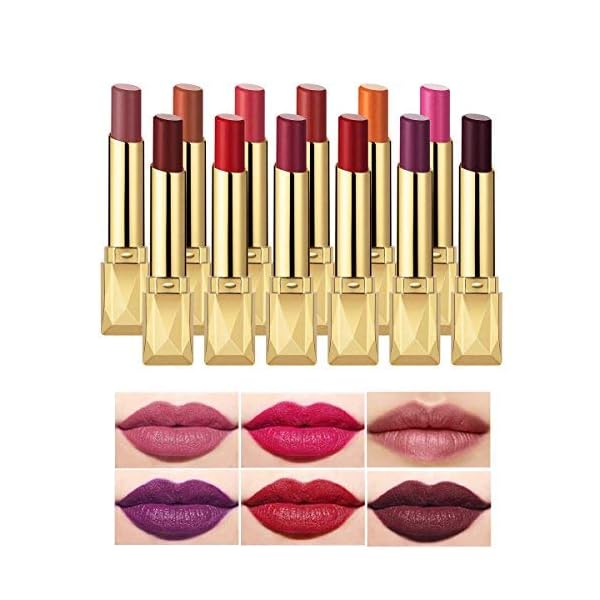 MISKOS 12PCS Matte Waterproof LipStick Summer Long Lasting Lip Makeup Set No Fade Pigmented Lip Stick Cosmeitc Gift Kits