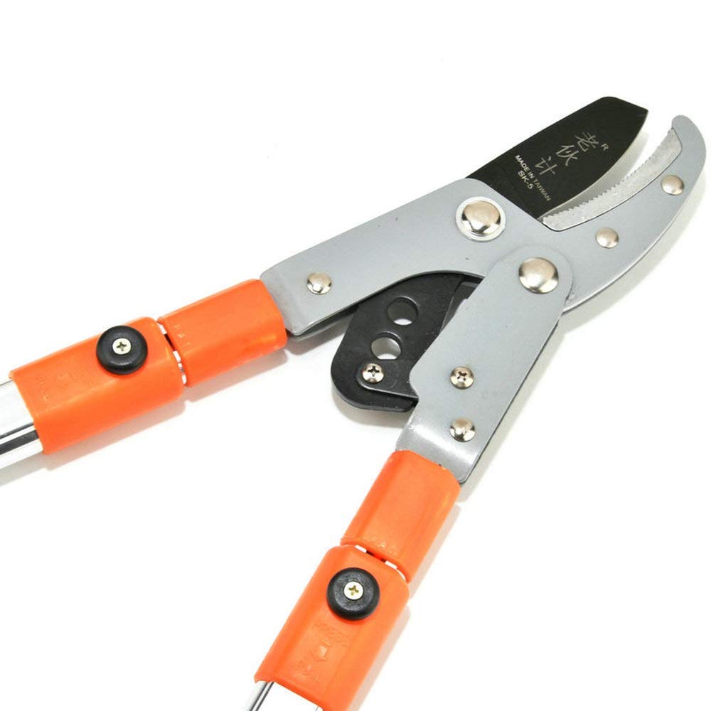 Buy Professional Telescopic Tree Pruners Extendable Anvil Loppers