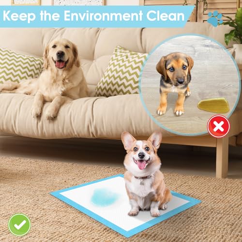 Otauoaea Hundetrainingspads 100 Stück, 33x45cm Einweg PIPI-Matten für Welpen & Kleine Hunde, 5-lagige Auslaufsichere & Schnell Trocknende Unterlage für Welpentraining, Käfig, Auto und Zuhause