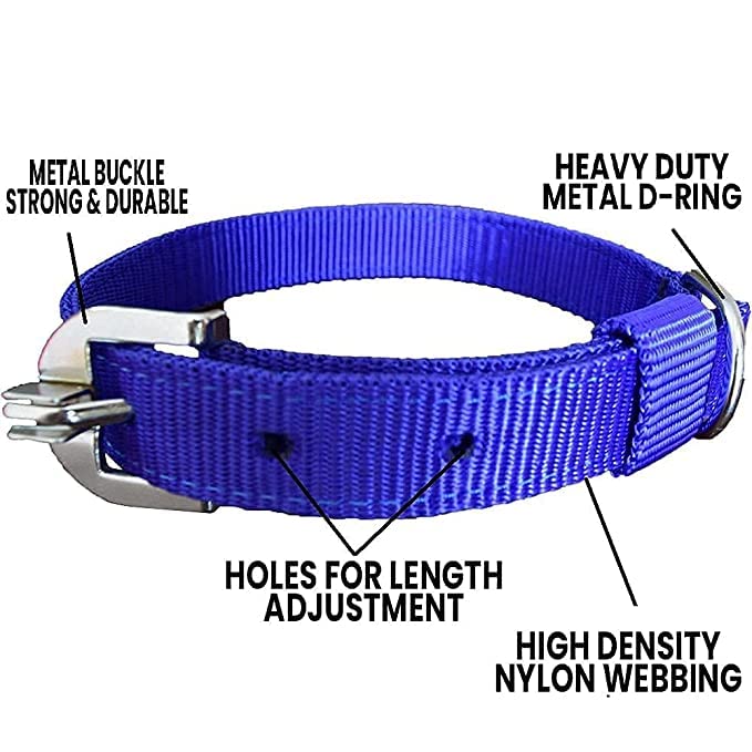 Image of Dog Belt Combo of Nylon Collar with Heavy Dog Chain 63 Inch Dog Collar Chain (Medium, Blue)