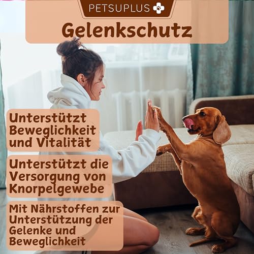 PETSUPLUS Gelenktabletten Hund mit Grünlippmuschel Hund, Hunde Gelenk Supplement Tabletten, Glucosamin MSM Chondroitin Kollagen Hyaluronsäure, stärkt Gelenke -120 Kautabletten
