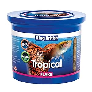 King British Tropical Flake Food, 200 g