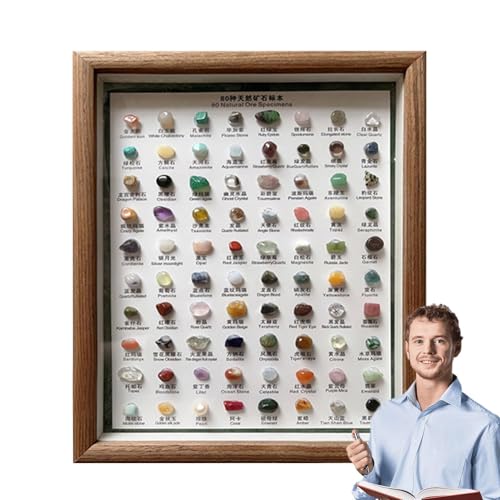 FmtwPhn Colección de piedra, kit de minerales, colección de 80 muestras de minerales naturales, juego de identificación de piedras con marco de madera, decoración del hogar para niños