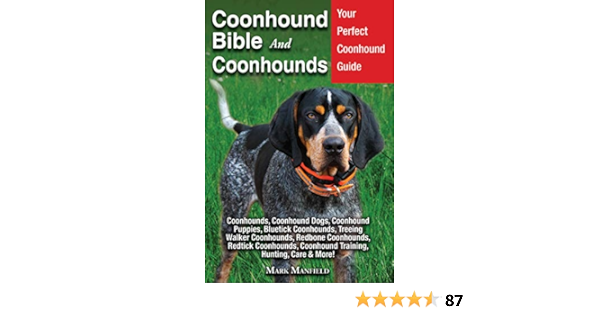 redbone coonhound puppies for sale uk