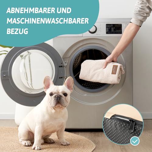 COZY KISS Hundetreppe für Kleine Hunde, Haustiertreppe für Hochbett aus Hochdichtem Schwamm, Hunde Treppe Hunderampe mit Waschbarem Bezug (Beige, 84 × 50 × 57 cm, 5)