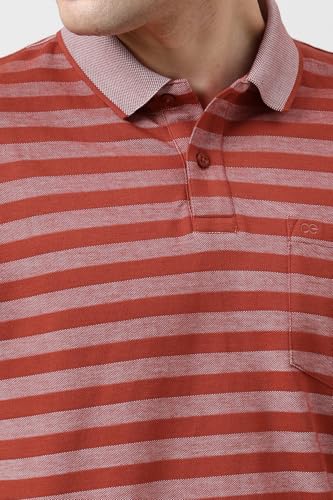 Image of Peter England Men's Cotton-Polyester Blend Striped Polo T-Shirt | Casual Wear | Durable & Trendy Regular Fit
