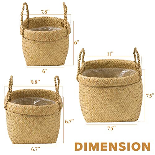 Gaiamade Set Of 3 Seagrass Plant Basket, Plant Basket, Wicker Planter Basket With Liner, Seagrass Planter For Tree Pot, Plant Baskets Indoor For Natural Style, Basket Planters For Indoor Plants. #TOP1