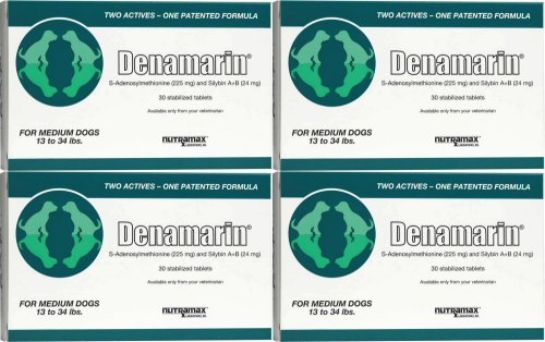 buy denamarin online