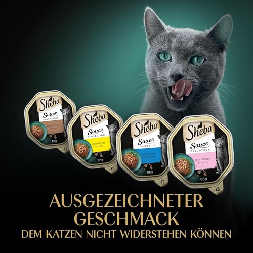 SHEBA Schale Nassfutter Multipack Mega-Pack Sauce Collection Feine Vielfalt MSC-Zertifiziert 32 x 85g