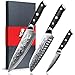 Migliori coltelli online SHAN ZU Set Coltelli Damasco 3 Pezzi, Giapponesi Coltelli da Cucina 67 Strati in Super Acciaio Damasco, Set Coltello da Chef Ultra Affilati Professionali ad Alto Tenore di Carbonio con Manico G10
