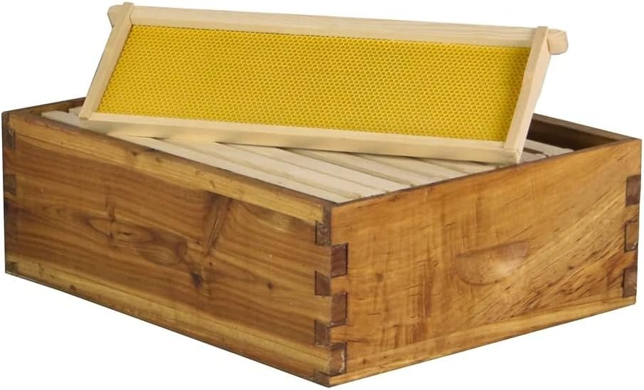 Hoover Hives 10-Frame Medium Super Box – Wax-Dipped Fir Wood Langstroth Honey Super with Dovetail Joints – Ready to Use, Durable & Weather-Resistant (1)
