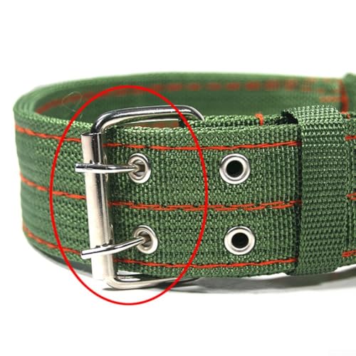Robustes Rinderhalsband mit robuster Metallschnalle zum sicheren Zurückhalten von Nutztieren (kleines Kuhhalsband)