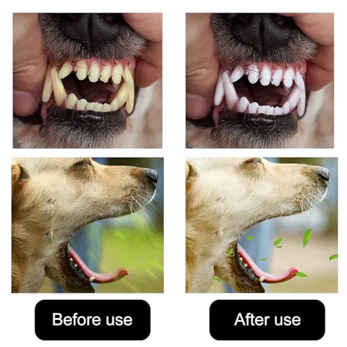 20 Stück Hundezahnbürste, Fingerzahnbürste Hund,Hundezahnbürste Fingerling Wiederverwendbar, Pet Finger Zahnbürste, Fingerlinge Hunde Zahnpflege,für Hunde Katzen Zahnpflege, Zahnreinigung