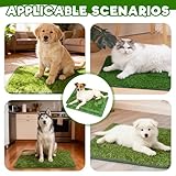 Hundetoilette Welpentoilette, 2 Stück Wiederverwendbar Hundetoilette Ersatzrasen Hundeklo für Zuhause Rasen Training Pee Pads Anwendbar Kleine Hunde(36,5 x 46 cm)
