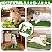 Hundetoilette Welpentoilette, 2 Stück Wiederverwendbar Hundetoilette Ersatzrasen Hundeklo für Zuhause Rasen Training Pee Pads Anwendbar Kleine Hunde(36,5 x 46 cm)